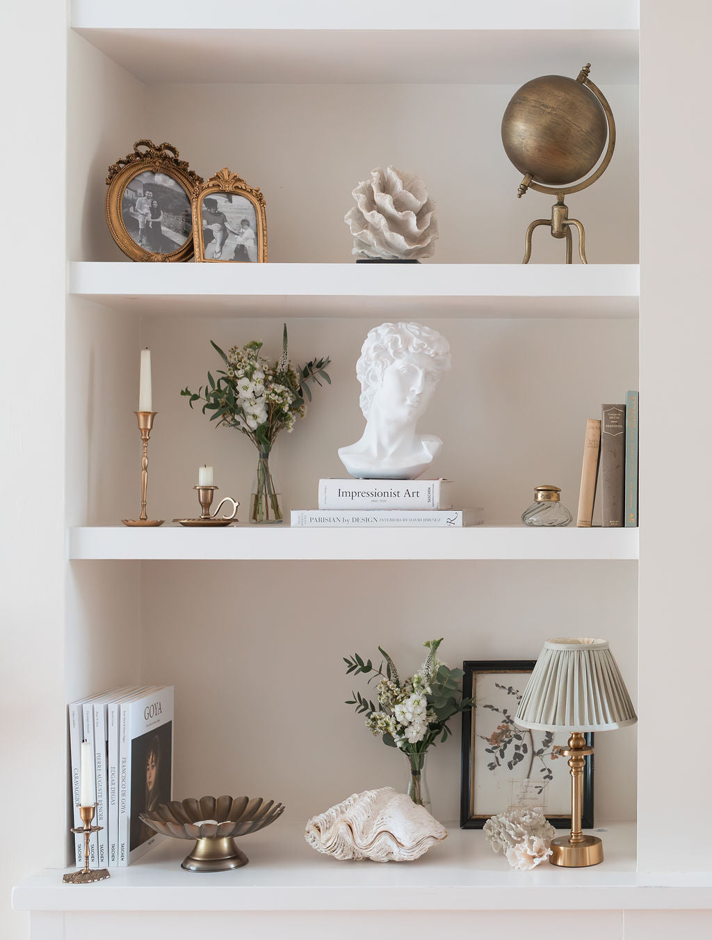 The Curiosity Collection