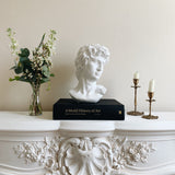 David Decorative Bust