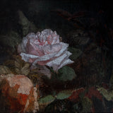 18th Century English Rose Fine Art Board Print
