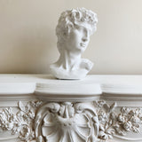 David Decorative Bust