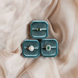 The Aphelia Ring