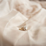 The Aphelia Ring