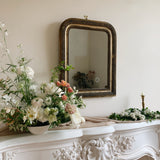 19th Century Antique French Louis Phillipe Mirror