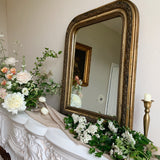 19th Century Antique French Louis Phillipe Mirror