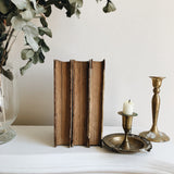 Antique French Books