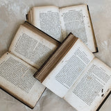 Antique French Books
