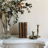 Antique French Books