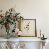 Antique Framed Herbier