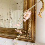 Antique Gold Louis Philippe Mirror
