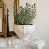 French Vintage Planter