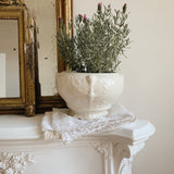 French Vintage Planter