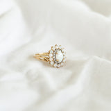 The Aphelia Ring