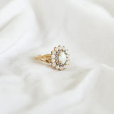 The Aphelia Ring