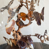 Antique Butterfly Display under Glass Dome