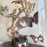 Antique Butterfly Display under Glass Dome