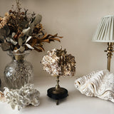 Antique French Coral Specimen on Stand
