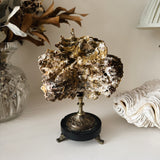 Antique French Coral Specimen on Stand