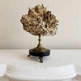 Antique French Coral Specimen on Stand