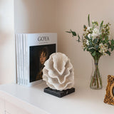 Decorative Coral